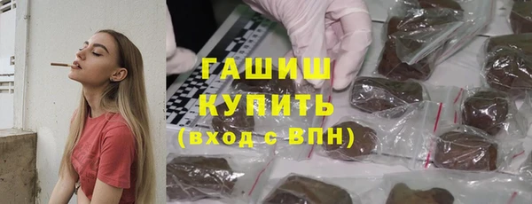 индика Аркадак