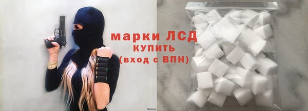 индика Аркадак