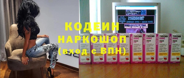 индика Аркадак