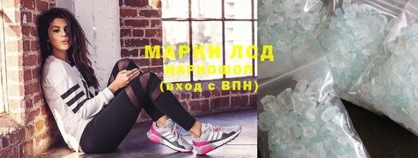 индика Аркадак